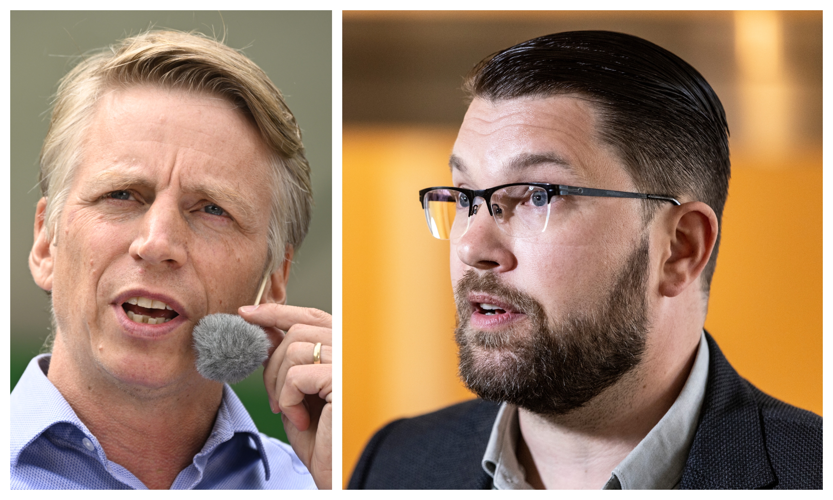 Per Bolund (MP) kritiserar Jimmie Åkesson (SD).